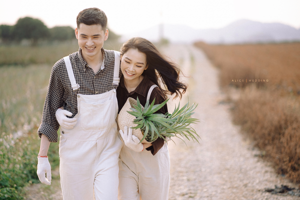 Pre Wedding Tuấn - Phương (vườn dứa Ninh Bình)